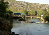 Buna